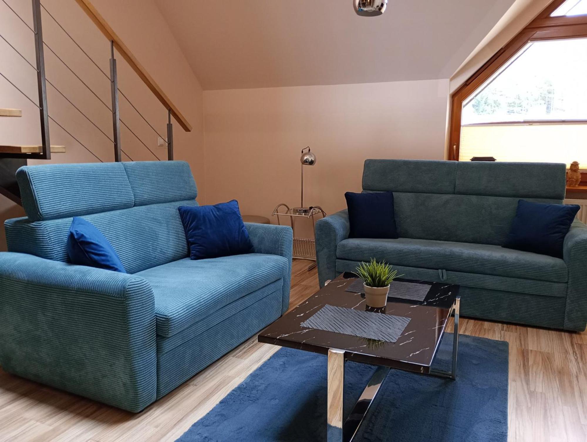 Viva Maria Apartament Закопане Екстериор снимка